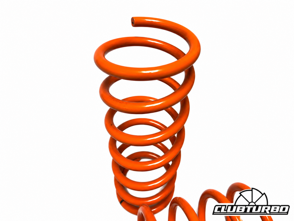 Пружины подвески Ford Focus 2-3, Mazda 3BK-BL, Volvo C30,S40, занижение -50 мм, задние (6)